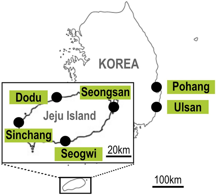 www.frontiersin.org