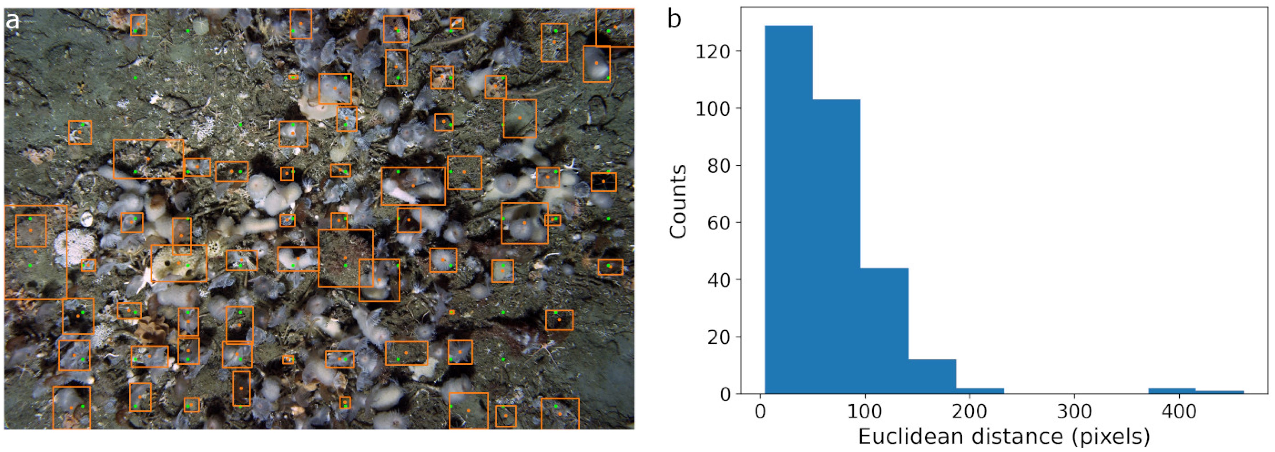 Two-panel image. Panel (a) shows an underwater scene with identification markers, using orange boxes and green points to highlight specific areas. Panel (b) is a histogram displaying data on Euclidean distance in pixels, with counts on the vertical axis. Most counts fall within zero to one hundred pixels, decreasing significantly beyond this range.