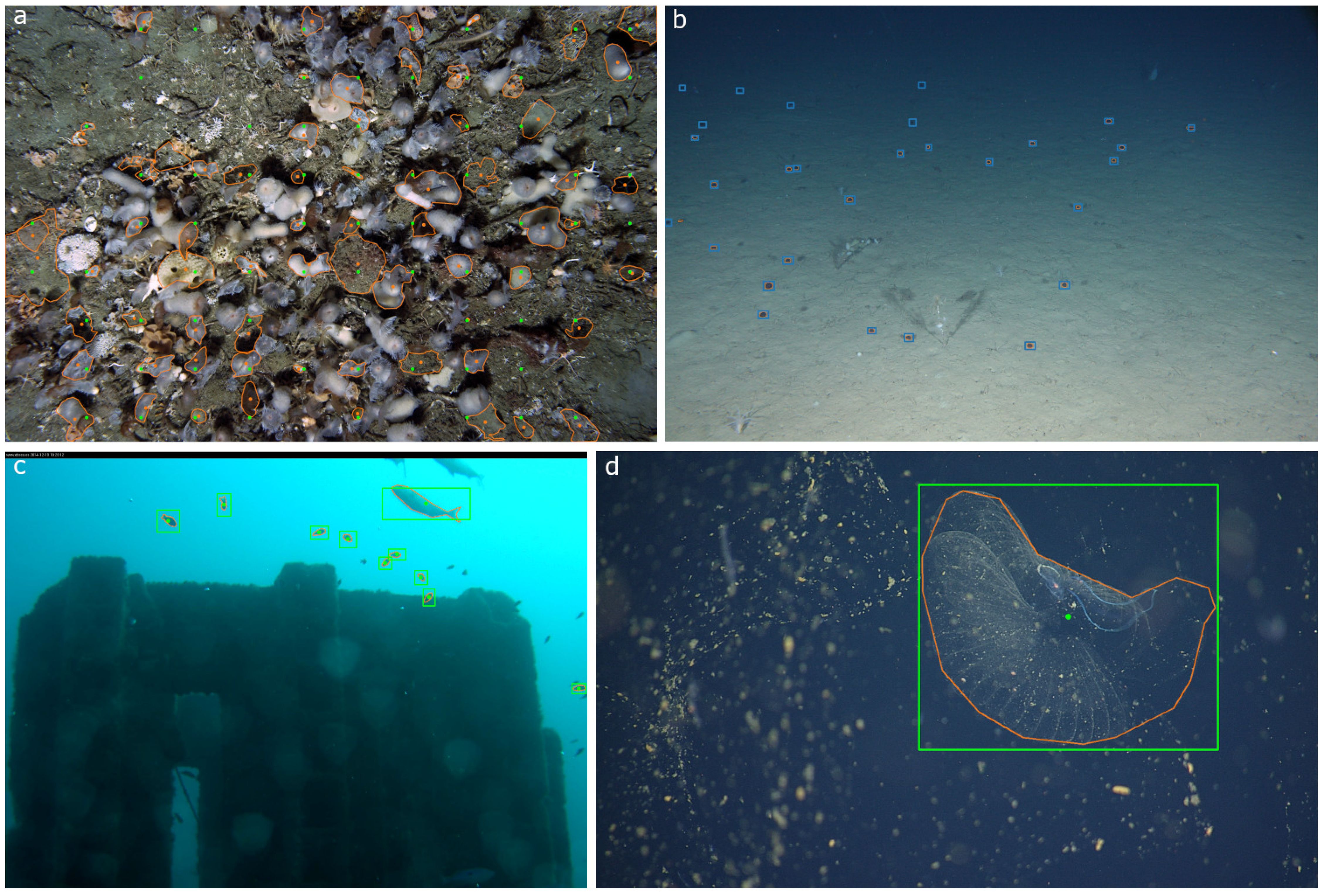 Four underwater images showcase different scenes with outlined shapes. A) Dense seabed covered with marine life, outlined in various colors. B) Sparse seafloor with small outlined boxes. C) Submerged structure with fish, highlighted with rectangles. D) Floating transparent organism, outlined for emphasis.