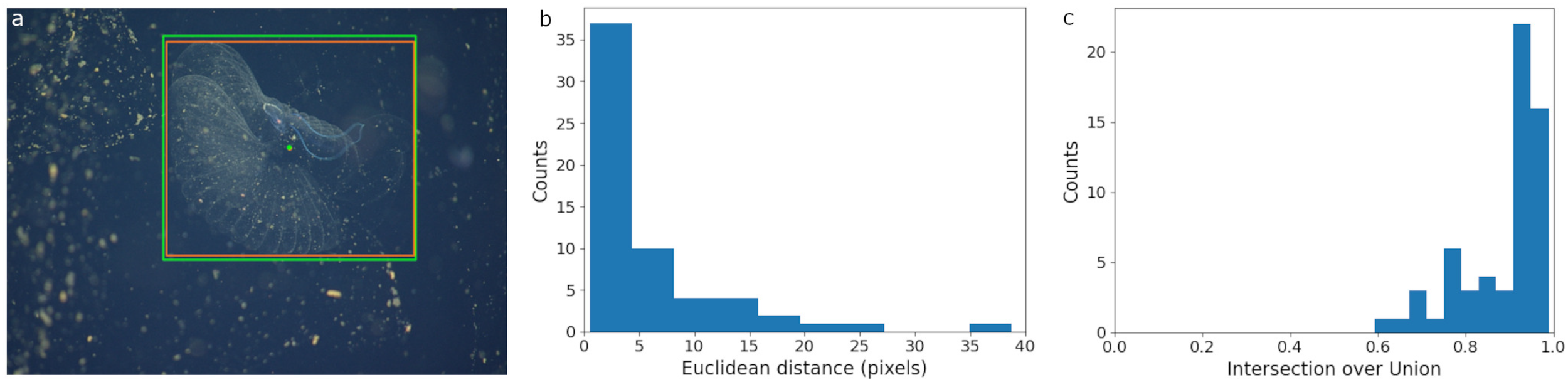 Image divided into three panels. Panel (a) shows an underwater scene with lines highlighting an object. Panels (b) and (c) display bar charts. Panel (b) depicts counts versus Euclidean distance in pixels, showing a high frequency at lower distances. Panel (c) shows counts versus intersection over union, with a concentration near the value one.