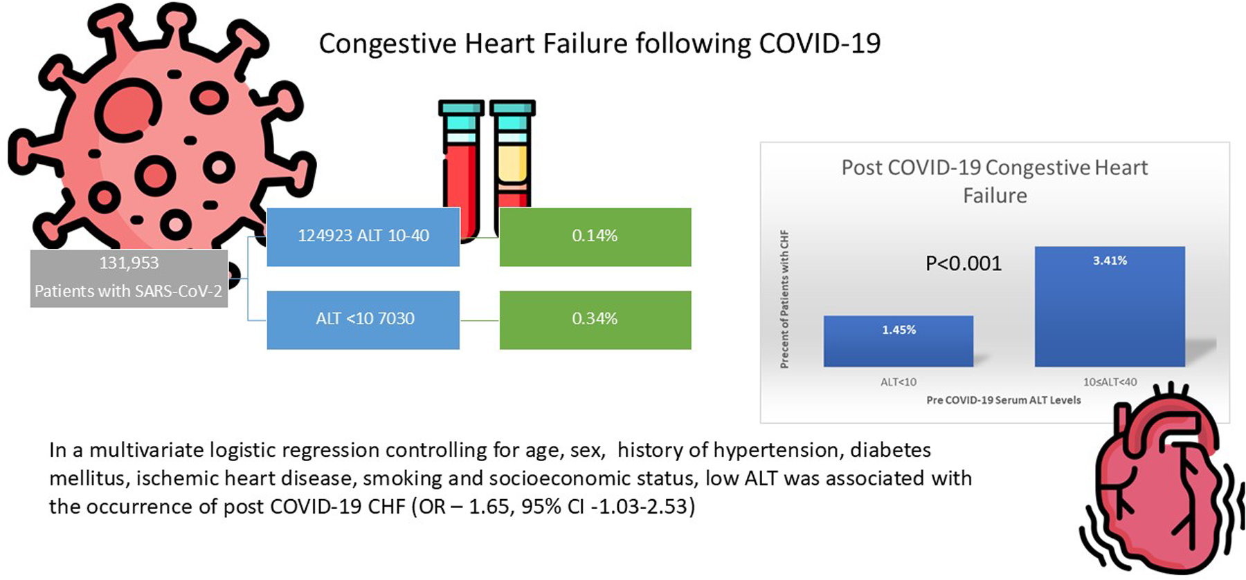 Infographic illustrating the relationship between pre-COVID-19 serum ALT levels and the risk of congestive heart failure (CHF) following COVID-19 in 131,953 patients. Patients with ALT less than ten had a higher incidence of CHF (0.34%) compared to those with ALT between ten and forty (0.14%). A bar chart shows that 1.45% of patients with ALT less than ten and 3.41% of those with ALT between ten and forty developed CHF post-COVID-19, with a statistically significant difference (P<0.001). A multivariate logistic regression suggests low ALT is associated with increased risk of post-COVID CHF (OR 1.65, 95% CI -1.03 to 2.53).