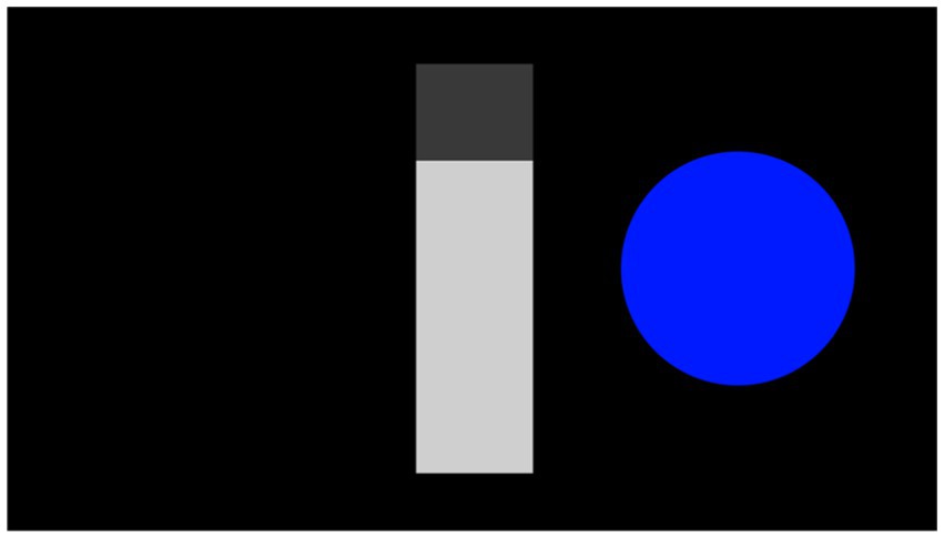 www.frontiersin.org