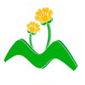 The Meadow Community Primary School