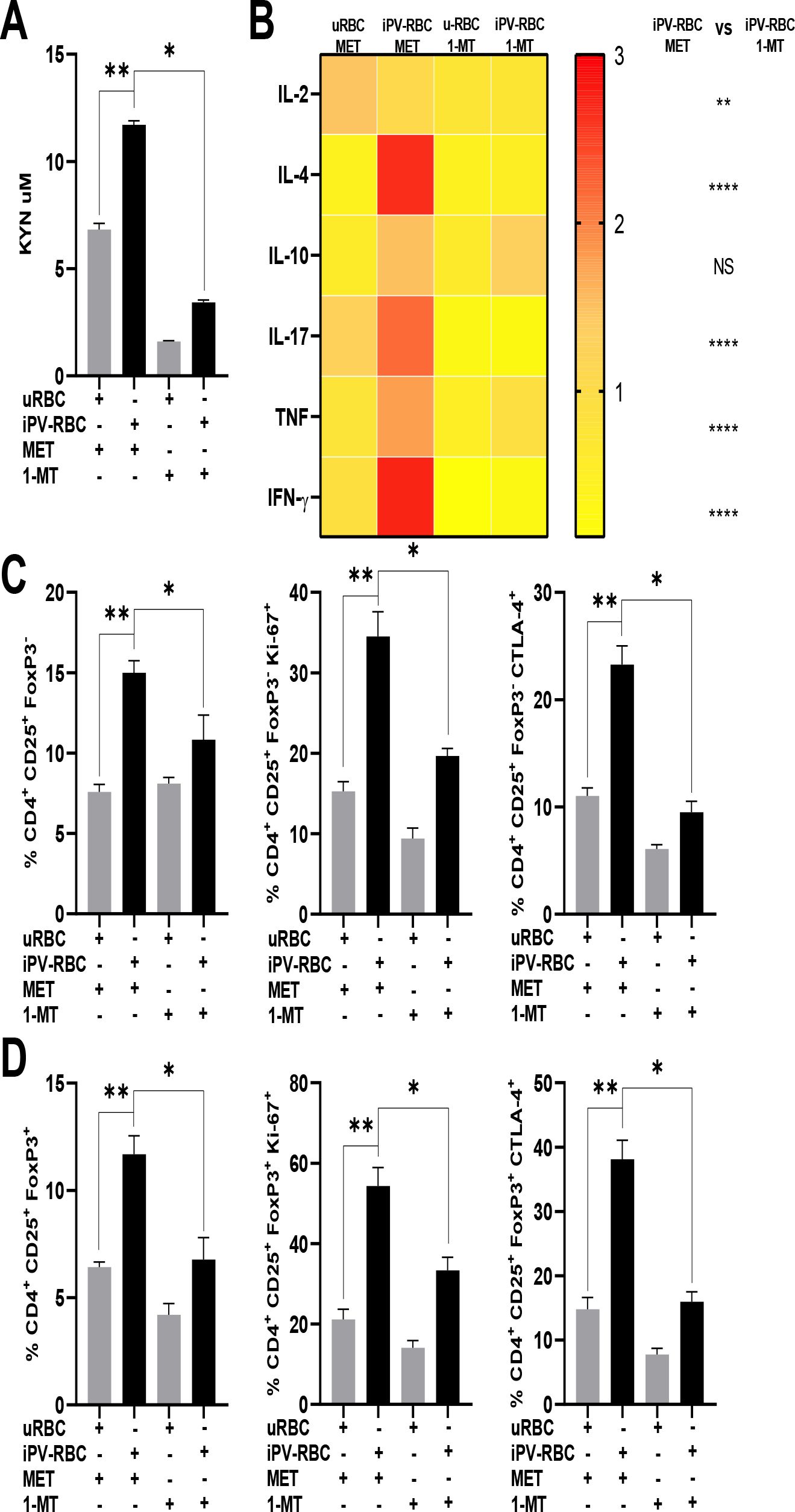 Four-panel image comparing immune responses under different conditions. Panel A shows a bar graph of KYN levels, with significant differences marked. Panel B presents a heat map of cytokines IL-2, IL-4, IL-10, IL-17, TNF, and IFN-γ, indicating expression levels and statistical significance. Panels C and D depict bar graphs of CD4⁺ CD25⁺ FoxP3⁺ cells including Ki-67⁺ and CTLA-4⁺ markers, with noted statistical differences across conditions labeled uRBC, iPV-RBC, MET, and 1-MT. Asterisks denote significance levels.