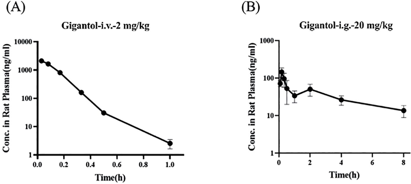 Two line graphs show Gigantol concentration in rat plasma over time. Graph A depicts intravenous administration at 2 mg/kg, showing a rapid decrease from 1000 ng/ml to below 10 ng/ml by 1 hour. Graph B depicts intragastric administration at 20 mg/kg, showing a gradual decrease from 100 ng/ml to below 10 ng/ml by 8 hours. Both graphs use a logarithmic scale for concentration.
