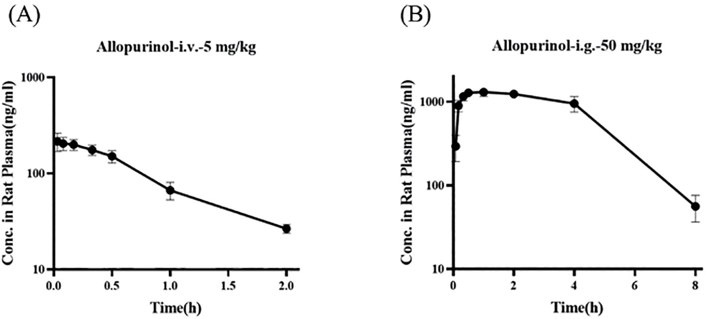 Graphs show the concentration of allopurinol in rat plasma over time. Graph A depicts intravenous administration of 5 mg/kg, showing a rapid decrease from 1000 ng/ml at 0 hours to around 10 ng/ml by 2 hours. Graph B shows intragastric administration of 50 mg/kg, with concentrations peaking above 1000 ng/ml and declining to around 10 ng/ml by 8 hours.