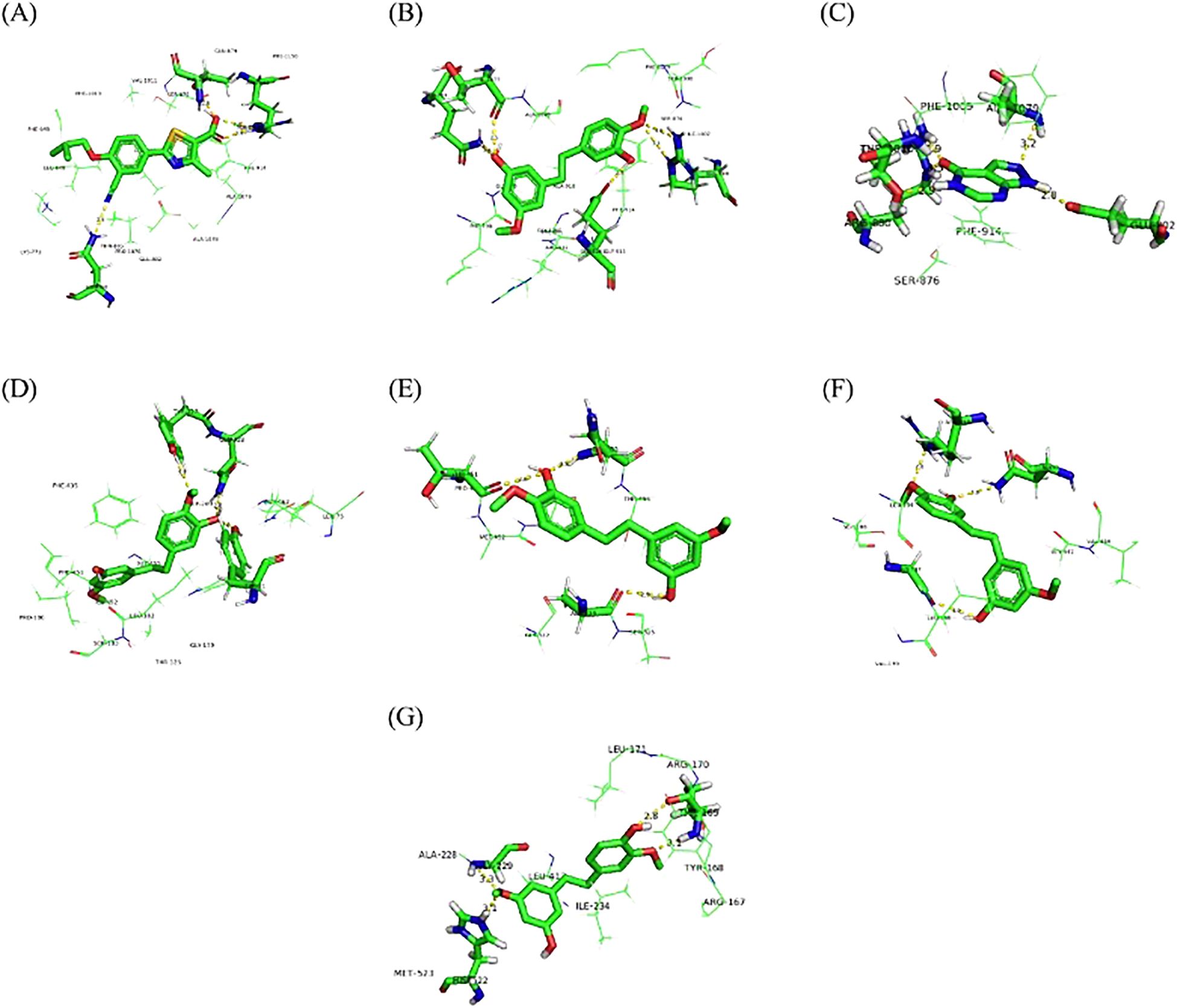 Molecular diagrams labeled A to G display complex chemical structures with highlighted interactions. Green bonds represent the molecular framework, while different colored atoms and annotated residues indicate specific interactions within the structure. Each panel shows a unique orientation of the molecular complex.