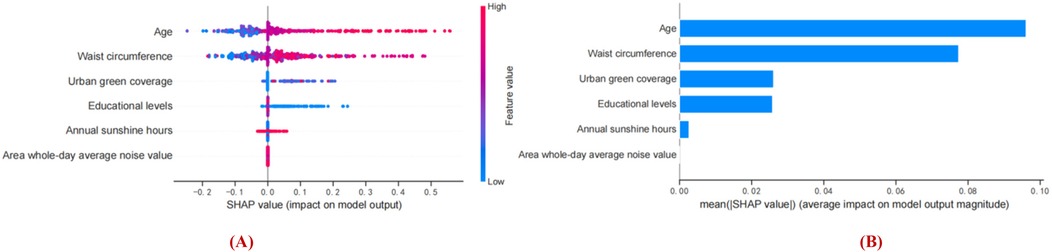 (A) Dot plot showing SHAP values for various features impacting a model. Features include age, waist circumference, urban green coverage, educational levels, annual sunshine hours, and noise values, with high and low feature values indicated by color.\n\n(B) Bar chart depicting mean SHAP values showing the average impact of different features on the model output magnitude. Features include age, waist circumference, urban green coverage, educational levels, and others. Age has the highest impact.