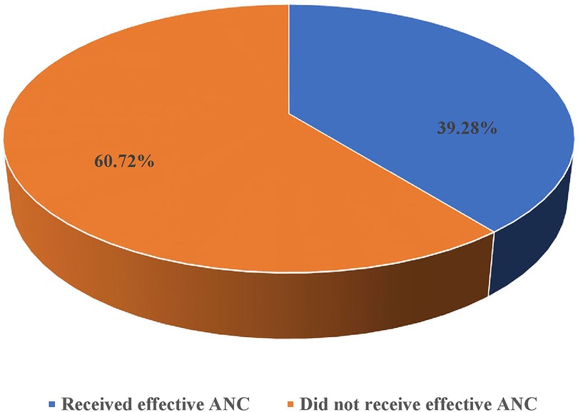 3D pie chart showing that 39.28 percent of individuals received effective antenatal care (ANC), represented in blue, while 60.72 percent did not receive effective ANC, represented in orange.