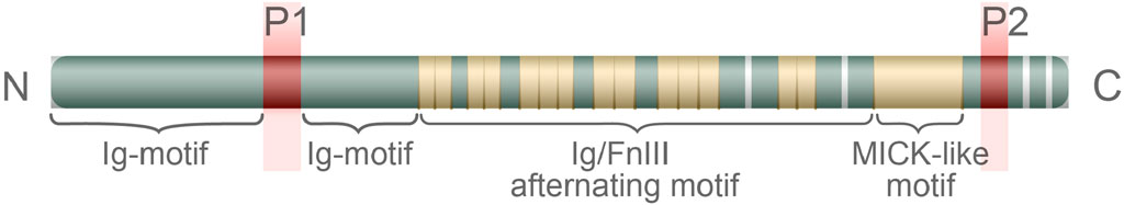 www.frontiersin.org