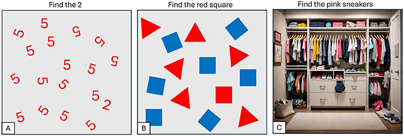 Puzzle image with three sections: A shows multiple red number fives; one is a number two. B displays red and blue shapes; a red square is hidden among them. C depicts a closet filled with clothing and shoes; pink sneakers are hidden among the items.