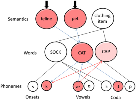 Terms Good behaviour and Hanky-panky are semantically related or have  opposite meaning