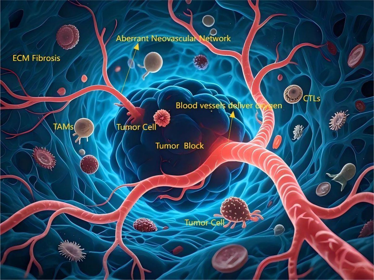 Illustration of a tumor microenvironment, featuring labeled components: ECM fibrosis, aberrant neovascular network, tumor-associated macrophages (TAMs), tumor block and cells, blood vessels delivering oxygen, and cytotoxic T lymphocytes (CTLs) amidst a cellular matrix.