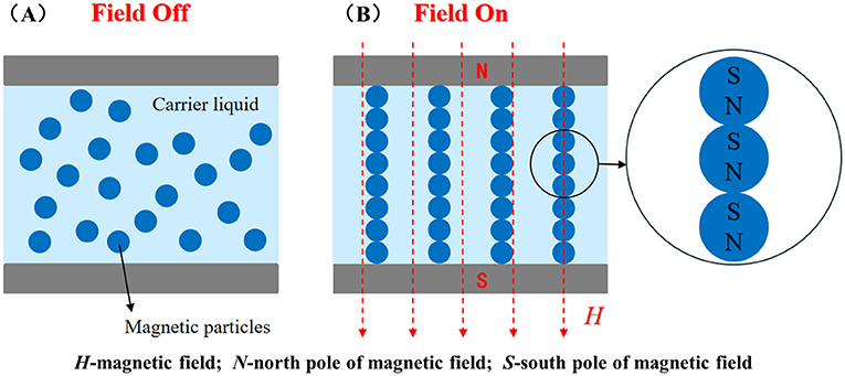 Figure 2 - Scientists created a suspension of magnetic particles in oil, called a magnetorheological fluid.
