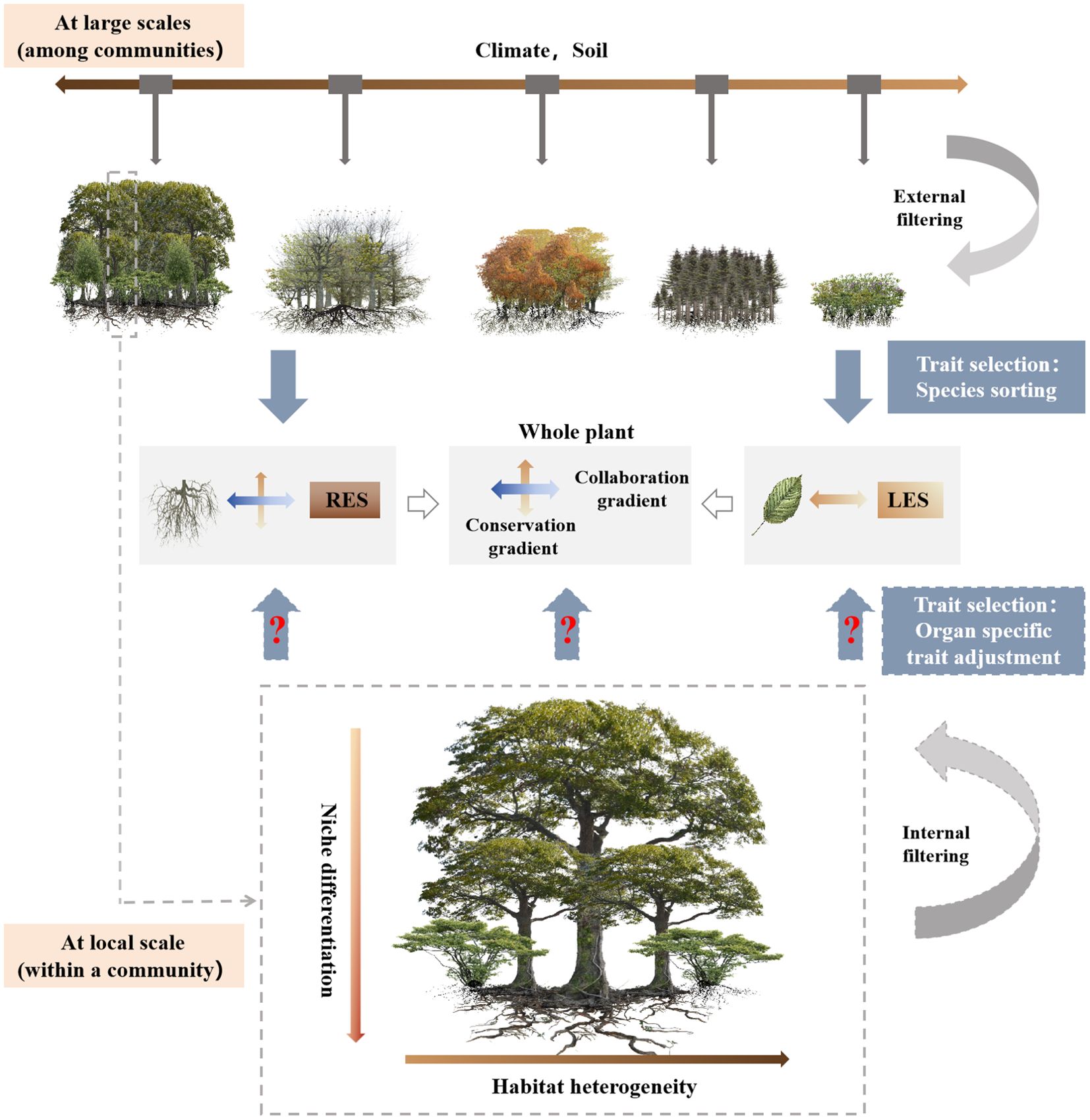 Frontiers | Does a whole plant conservation gradient exist