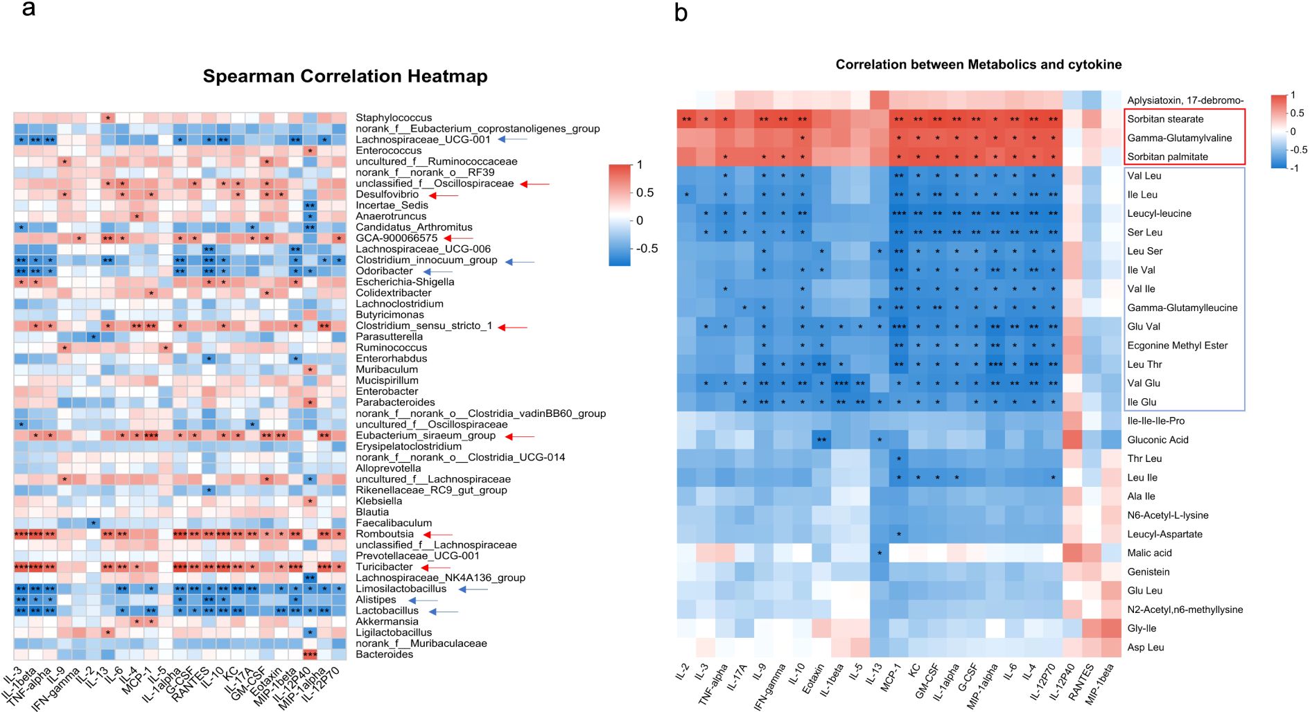 Heatmap with two panels: (a) shows Spearman correlation coefficients for microbial groups, ranging from -0.5 (blue) to 1 (red). (b) displays correlations between metabolites and cytokines, using a similar color gradient. Both graphs highlight variations, with some areas marked by stronger correlations.