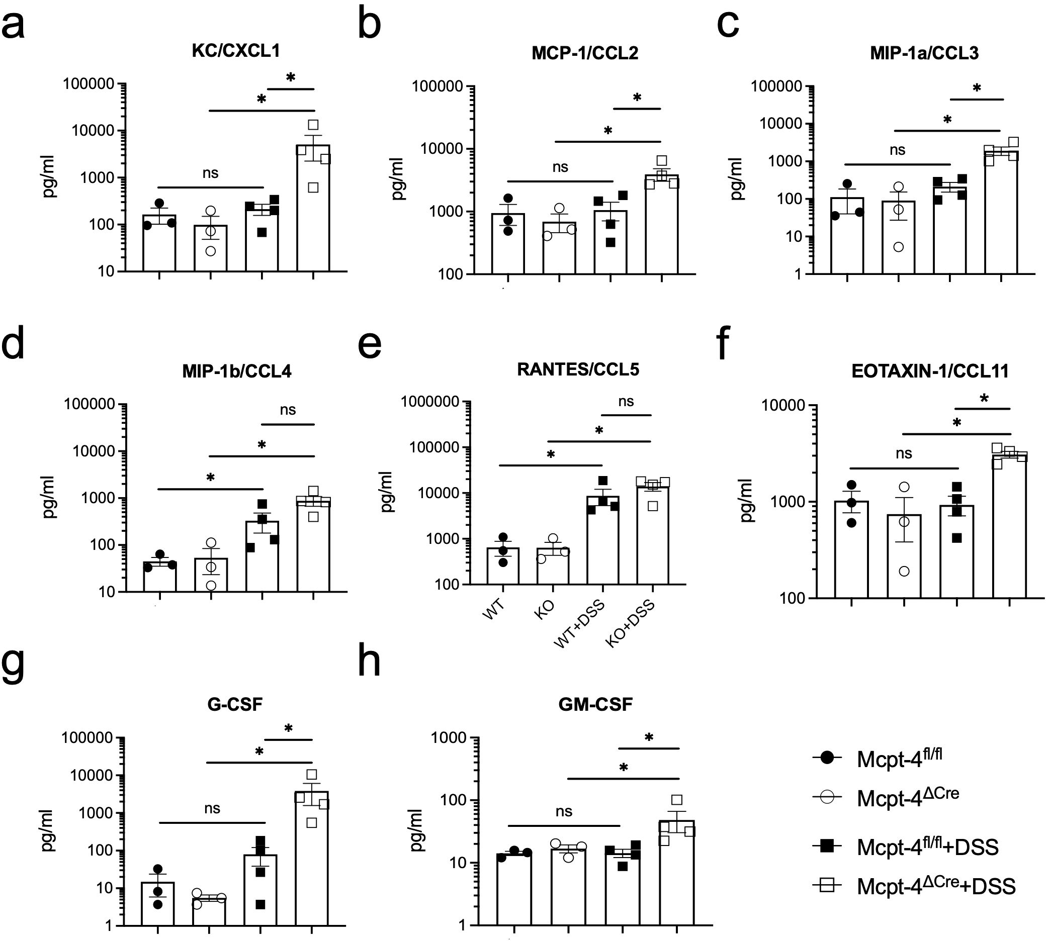 Graphs a to h show cytokine levels in pg/ml across different conditions. Conditions include Mcpt-4^fl/fl, Mcpt-4^Cre, Mcpt-4^fl/fl+DSS, and Mcpt-4^Cre+DSS. Significant differences are marked with asterisks, and non-significant differences are labeled “ns”. Each graph compares levels of specific cytokines: KC/CXCL1, MCP-1/CCL2, MIP-1a/CCL3, MIP-1b/CCL4, RANTES/CCL5, EOTAXIN-1/CCL11, G-CSF, and GM-CSF. Data visualization uses a logarithmic scale.