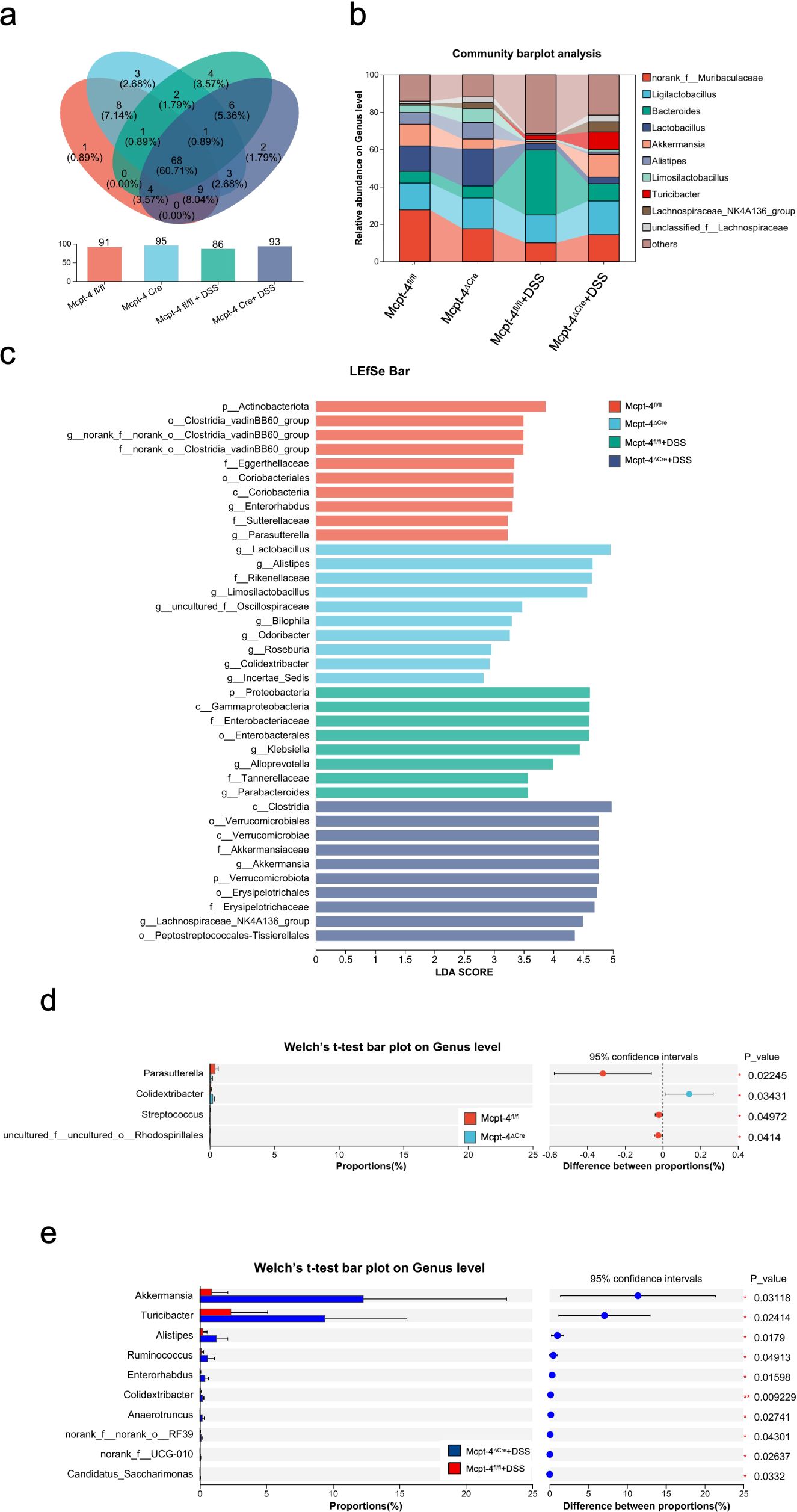Composite image of microbial community analysis: a) Venn diagram shows shared and unique microbe proportions across samples, with a bar chart below. b) Stacked bar plot displays microbial abundance on the genus level among different sample groups. c) LEfSe bar graph highlights differential abundance with LDA scores among groups. d) Welch’s test bar plot at genus level comparing two groups, with proportions and significance marked. e) Another Welch’s test bar plot outlines genus-level comparisons with p-values, proportions, and confidence intervals.