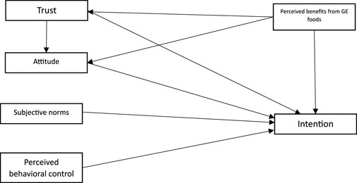 Flowchart depicting the relationship between trust, attitude, subjective norms, and perceived behavioral control influencing intention. Trust affects perceived benefits from GE foods and attitude. All factors, including perceived benefits, influence intention.