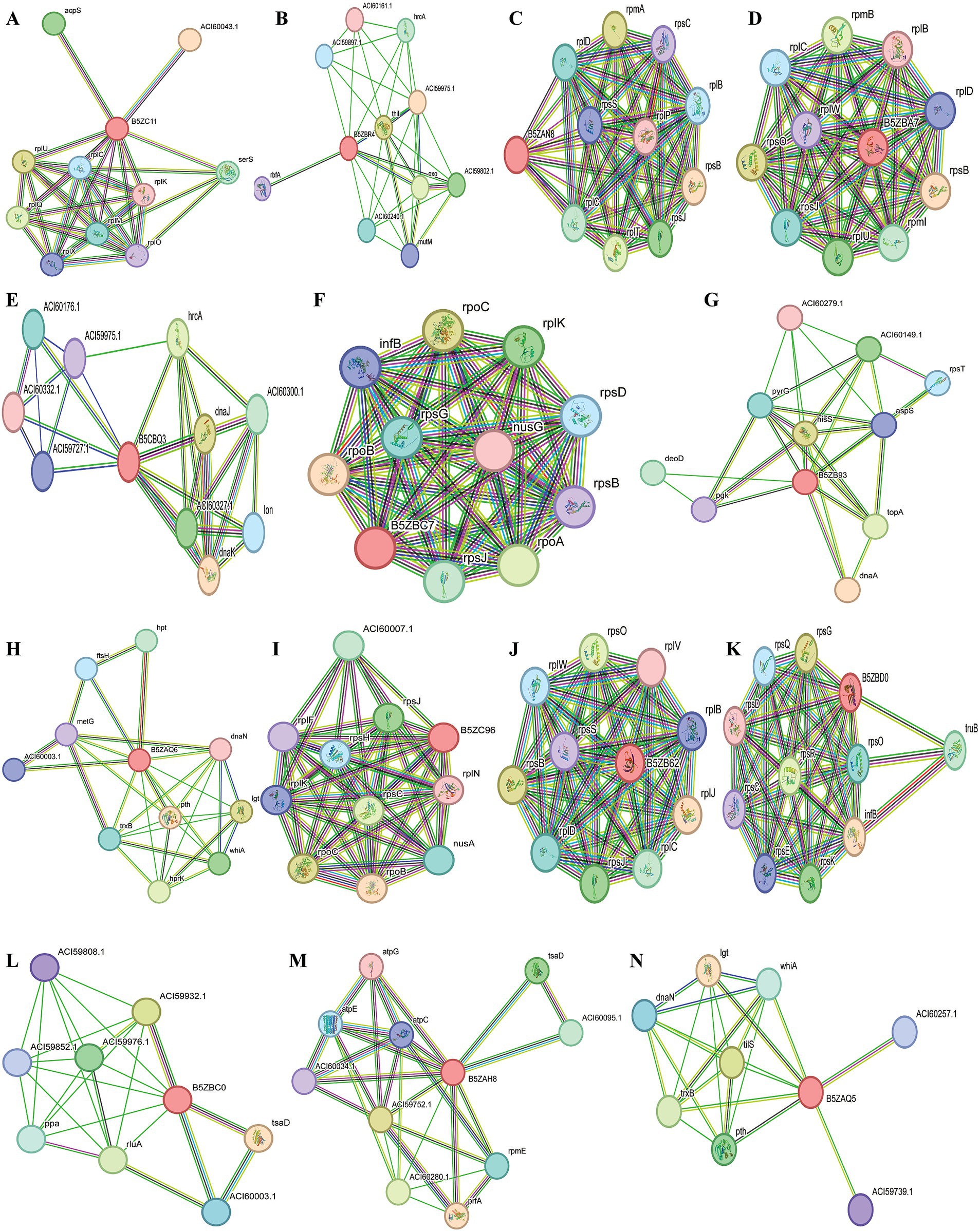 Frontiers | Subtractive genomics and comparative metabolic