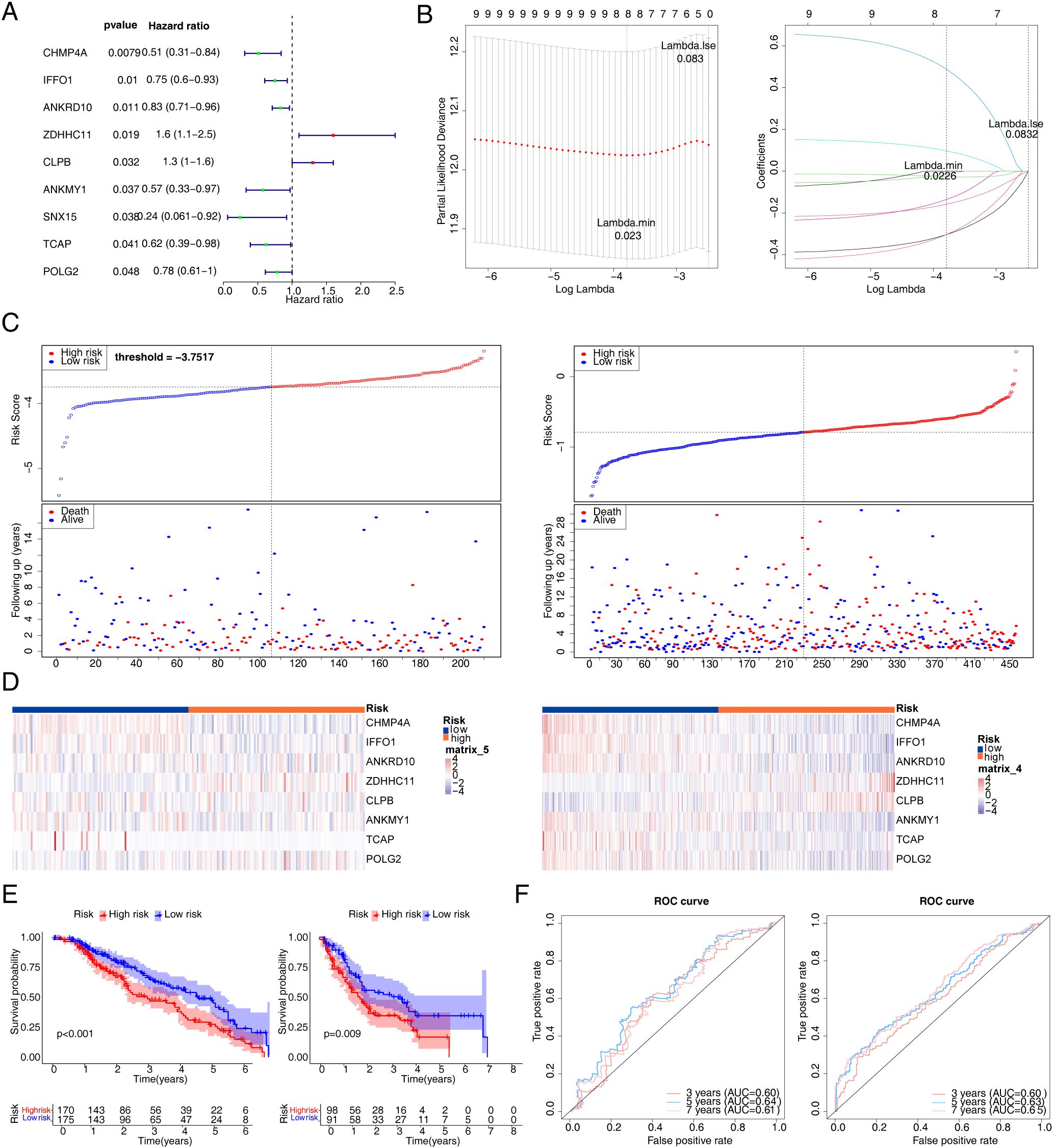 Composite image showing several scientific charts and graphs: A) Forest plot with hazard ratios and p-values for genes like CHMP4A and POLG2. B) LASSO regression plots depicting partial likelihood deviance against log lambda. C) Risk score plots correlating risk levels to survival times, with a vertical threshold line. D) Heatmaps illustrating expression levels of specific genes linked to risk scores. E) Kaplan-Meier survival curves for high-risk versus low-risk groups. F) ROC curves evaluating model performance at three, five, and eight years. Each element conveys analysis details of gene expression and survival prediction.
