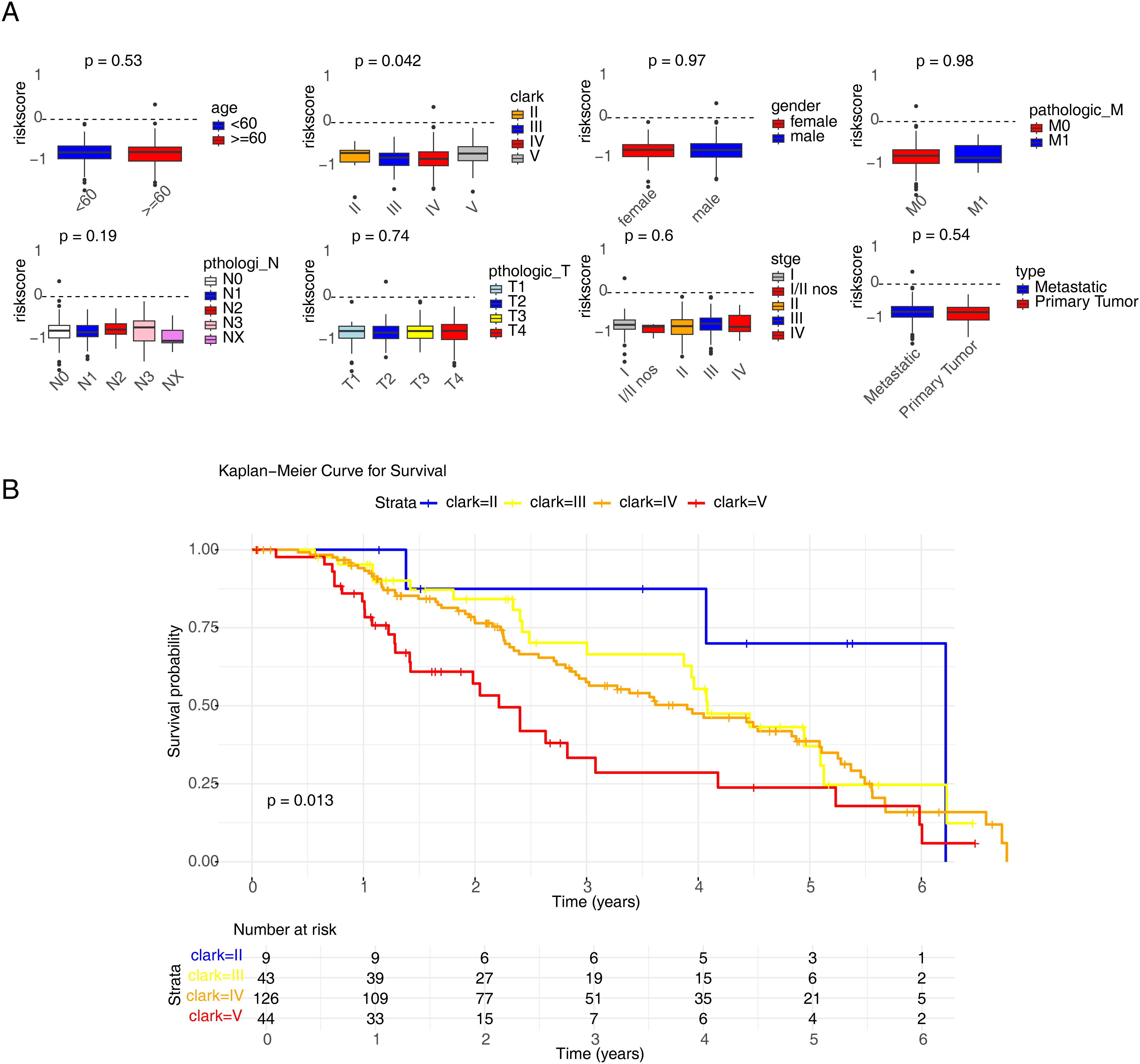 Panel A presents multiple box plots comparing risk scores based on age, Clark level, gender, pathologic characteristics, stage, and type of tumor, with corresponding p-values. Panel B displays a Kaplan-Meier survival curve stratified by Clark levels II to V, showing survival probability over time with a significant p-value of 0.013. A table below indicates the number at risk for each Clark level over time.