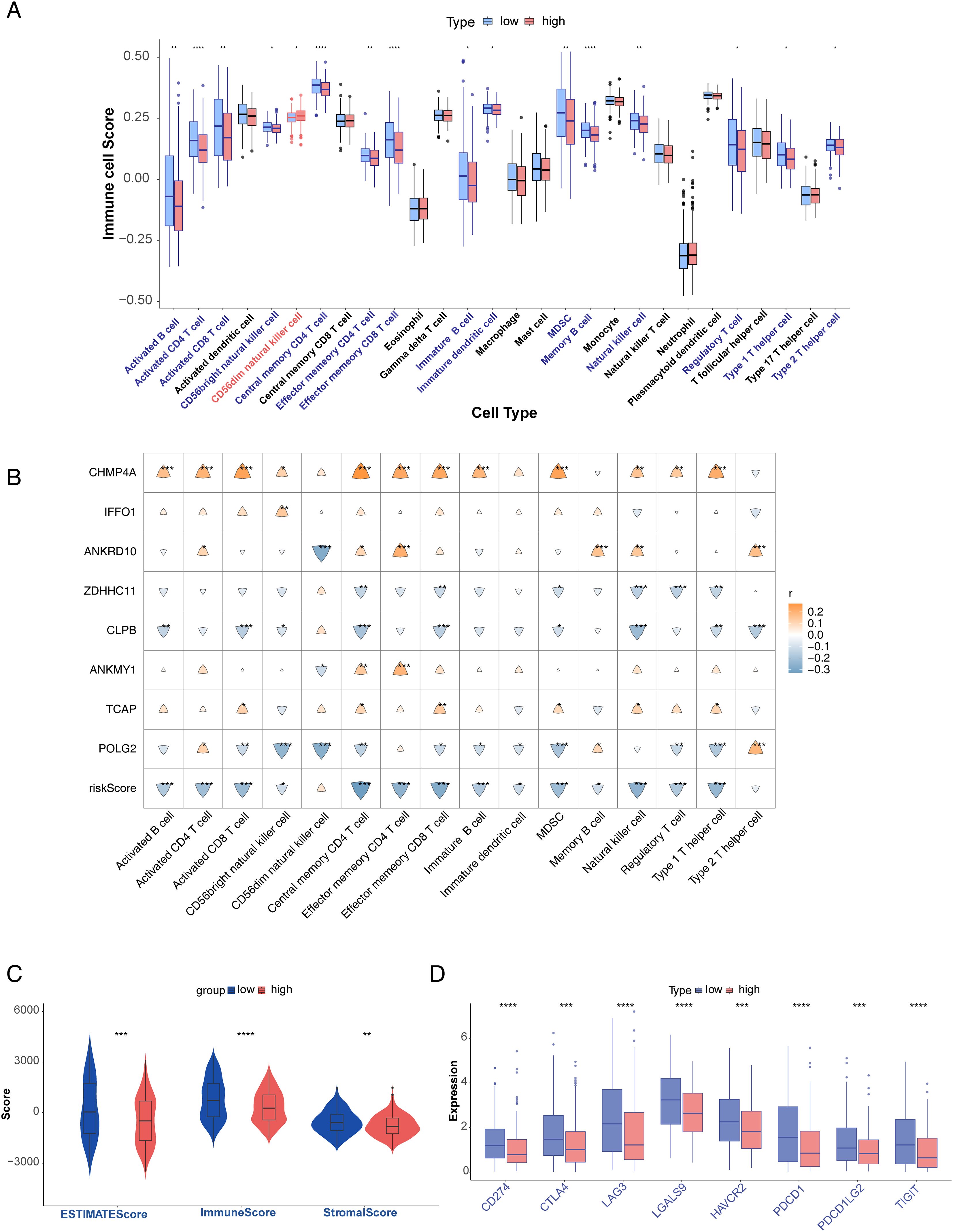 Panel A shows a box plot comparing immune cell scores between low and high groups across various cell types. Panel B presents a correlation matrix with triangular plots for gene expressions across different cell types, color-coded by correlation values. Panel C displays violin plots of ESTIMATE, Immune, and Stromal scores for low and high groups. Panel D features box plots comparing gene expression levels for several genes between low and high groups. Each plot uses color coding to represent different groups.