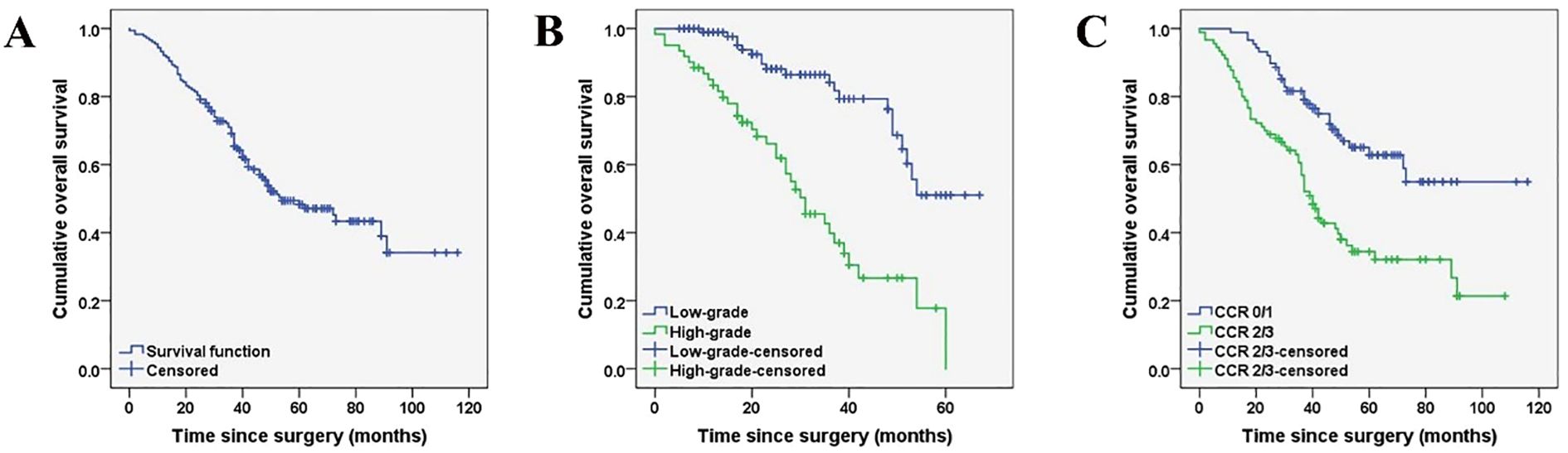 Three Kaplan-Meier survival curves labeled A, B, and C show cumulative overall survival over time since surgery in months. Graph A displays a single decline in survival over 120 months. Graph B compares low-grade and high-grade groups, with low-grade showing better survival. Graph C contrasts CCR 0/1 and CCR 2/3 groups, with CCR 0/1 demonstrating higher survival rates. Censoring is indicated by cross marks on all graphs.