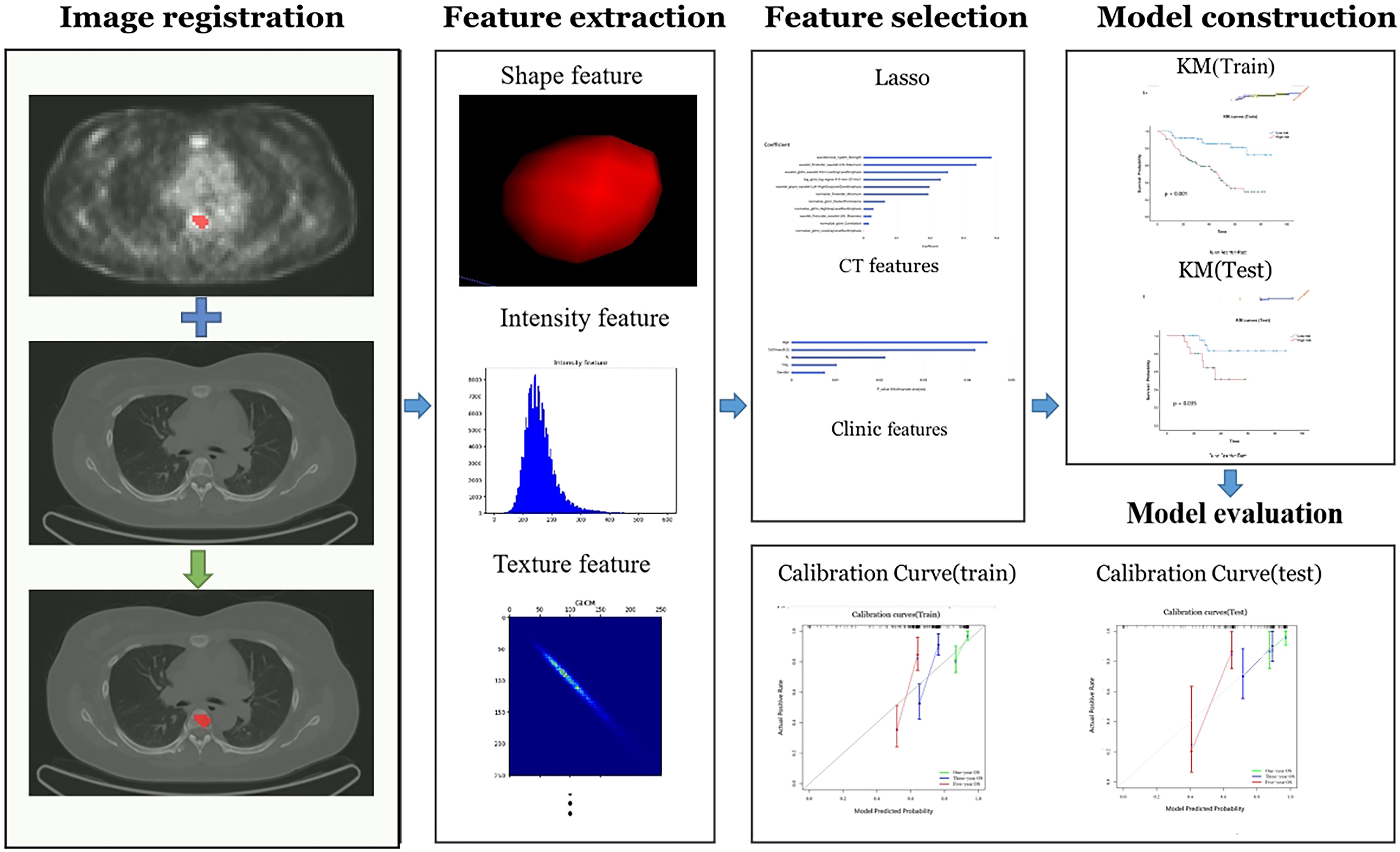 Flowchart outlining a model construction process. “Image registration” shows three medical scans with highlighted regions. “Feature extraction” includes shape, intensity (histogram), and texture (blue matrix) features. “Feature selection” uses Lasso, displaying bar graphs for CT and clinic features. “Model construction” involves Kaplan-Meier plots for training and testing. Finally, “Model evaluation” presents calibration curves for training and testing data. Arrows indicate progression through stages.