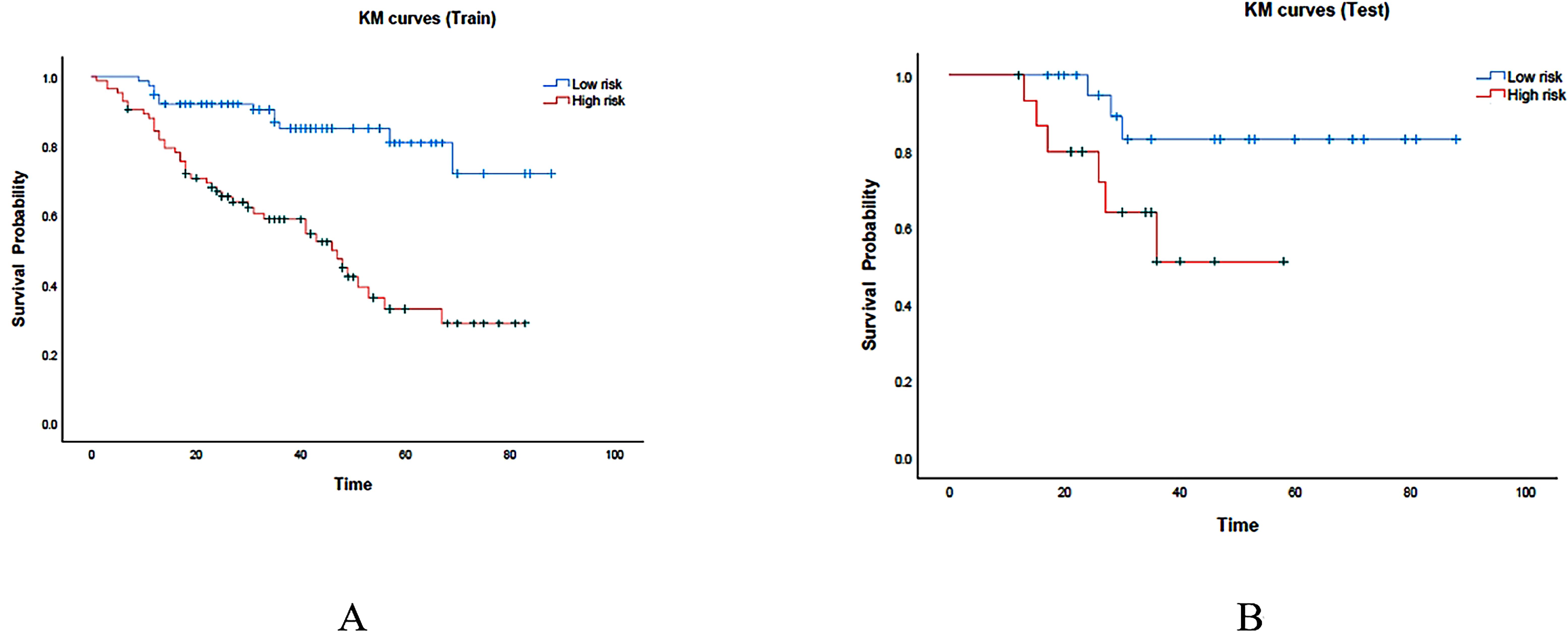 Kaplan-Meier curves for survival probability over time. Panel A shows training data, with low-risk (blue line) curves above high-risk (red line) curves. Panel B shows test data, with similar separations between low and high risk. Both graphs indicate better survival for low-risk groups.