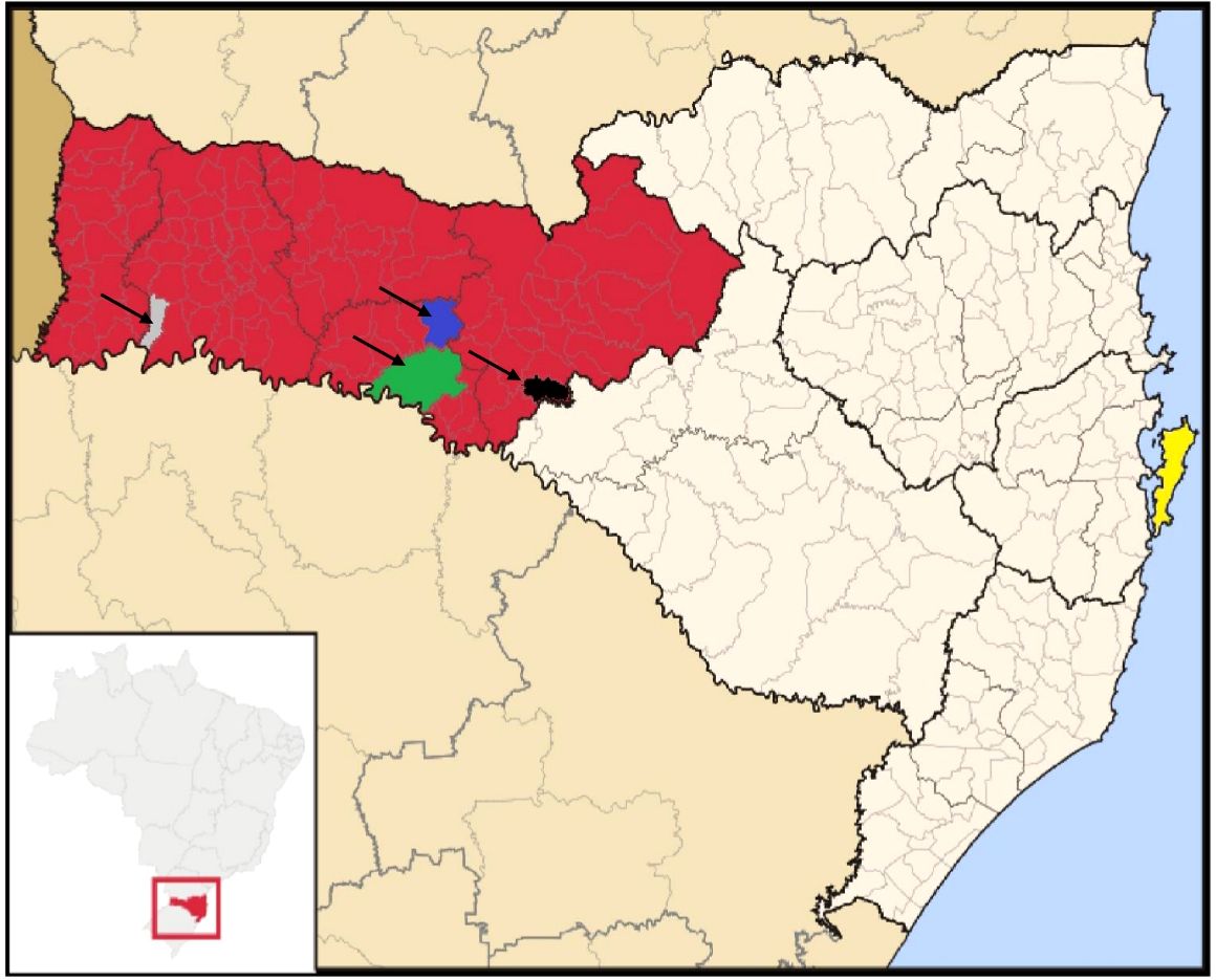 www.frontiersin.org