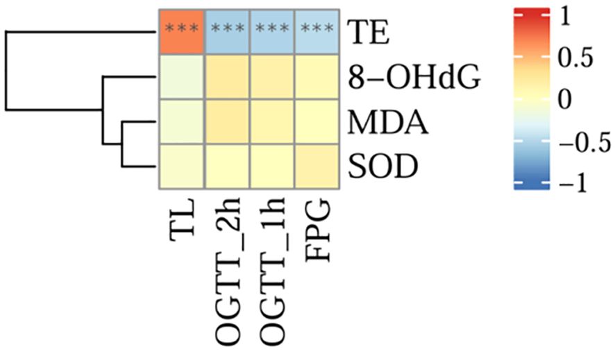 Frontiers | Decreased telomerase activity and shortened