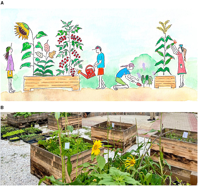 Figure 2 - (A) Diagram of the TKS Edible School Garden - A learning space where students explore plant science, discover gardening practices, and connect with nature (Art by Jovana Cvorovic).