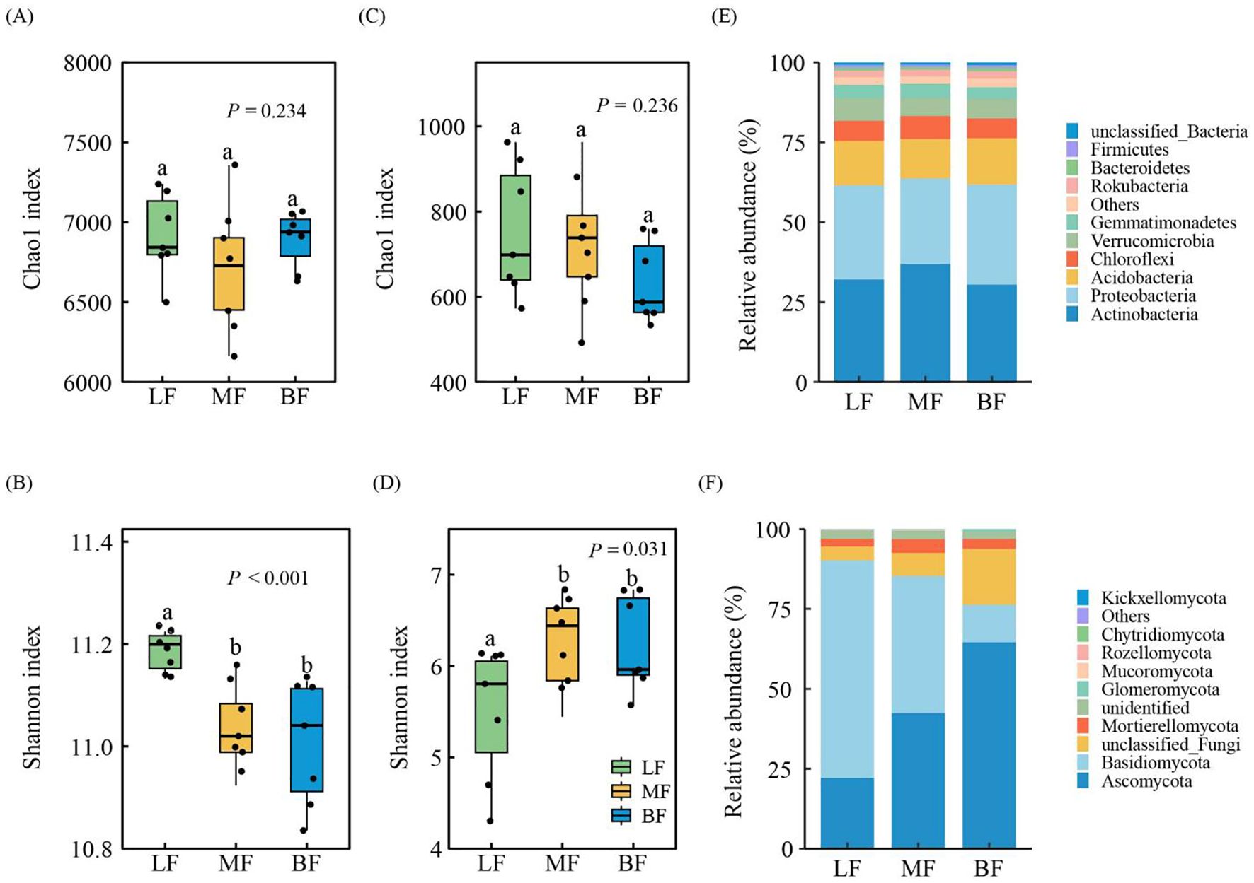Box plots and bar graphs comparing microbial diversity and relative abundance across three samples: LF, MF, and BF. Panels A and C show Chao1 index values with p-values of 0.234 and 0.236, respectively. Panels B and D present Shannon index values with p-values of less than 0.001 and 0.031, respectively. Panels E and F illustrate the relative abundance of bacterial and fungal taxa, respectively. The legend specifies various taxa represented by different colors.