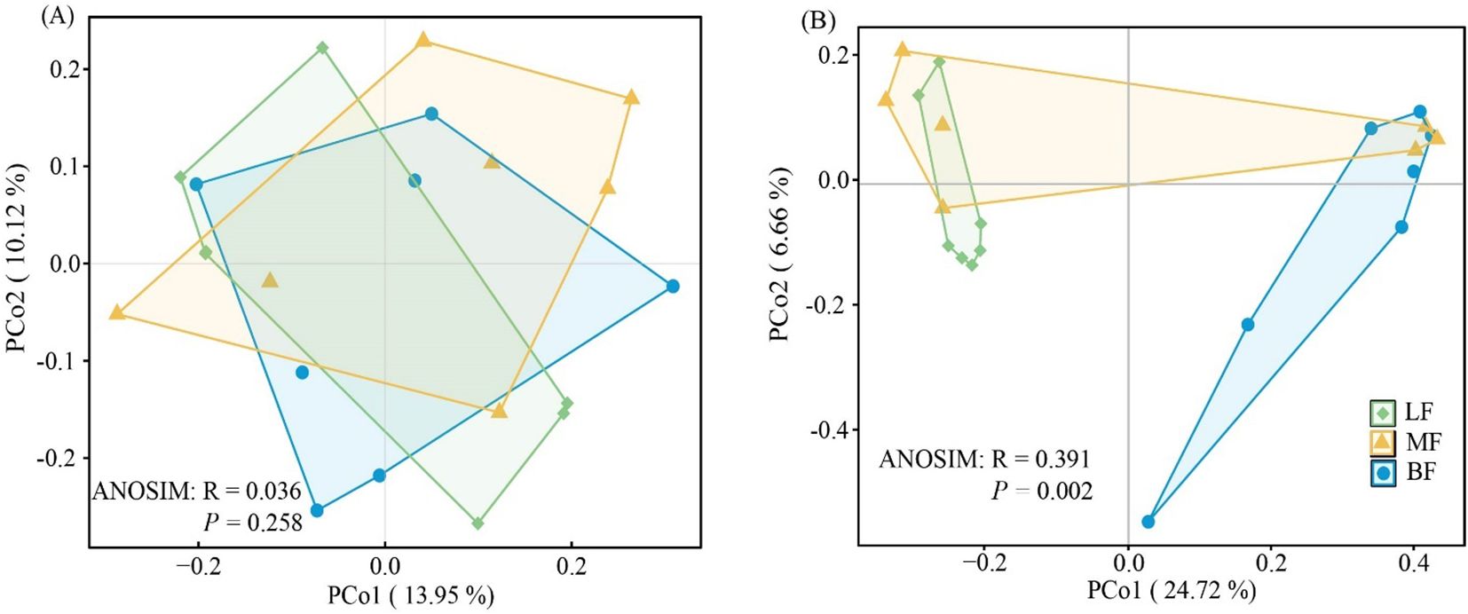 Two principal coordinate analysis (PCoA) plots labeled A and B compare three groups: LF (green), MF (yellow), and BF (blue). Plot A shows axes PCo1 (13.95%) and PCo2 (10.12%) with ANOSIM R = 0.036 and P = 0.258. Plot B shows axes PCo1 (24.72%) and PCo2 (6.66%) with ANOSIM R = 0.391 and P = 0.002. Data points form overlapping polygons for each group.