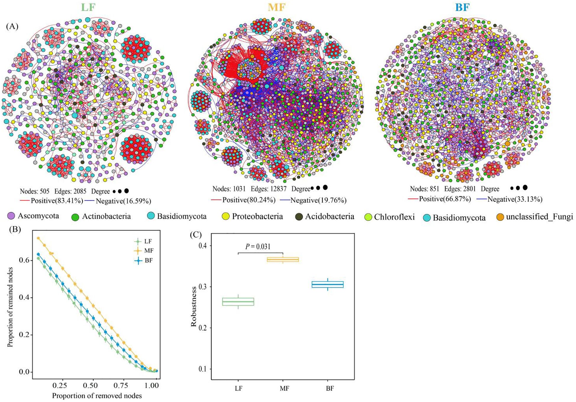 (A) Three network diagrams represent community structures for LF, MF, and BF. Nodes and edges indicate various microbial groups with positive and negative interactions. (B) Line graph shows the proportion of retained nodes against removed nodes for LF, MF, and BF, highlighting resilience differences. (C) Box plot compares robustness across LF, MF, and BF, indicating statistical significance at P=0.031.