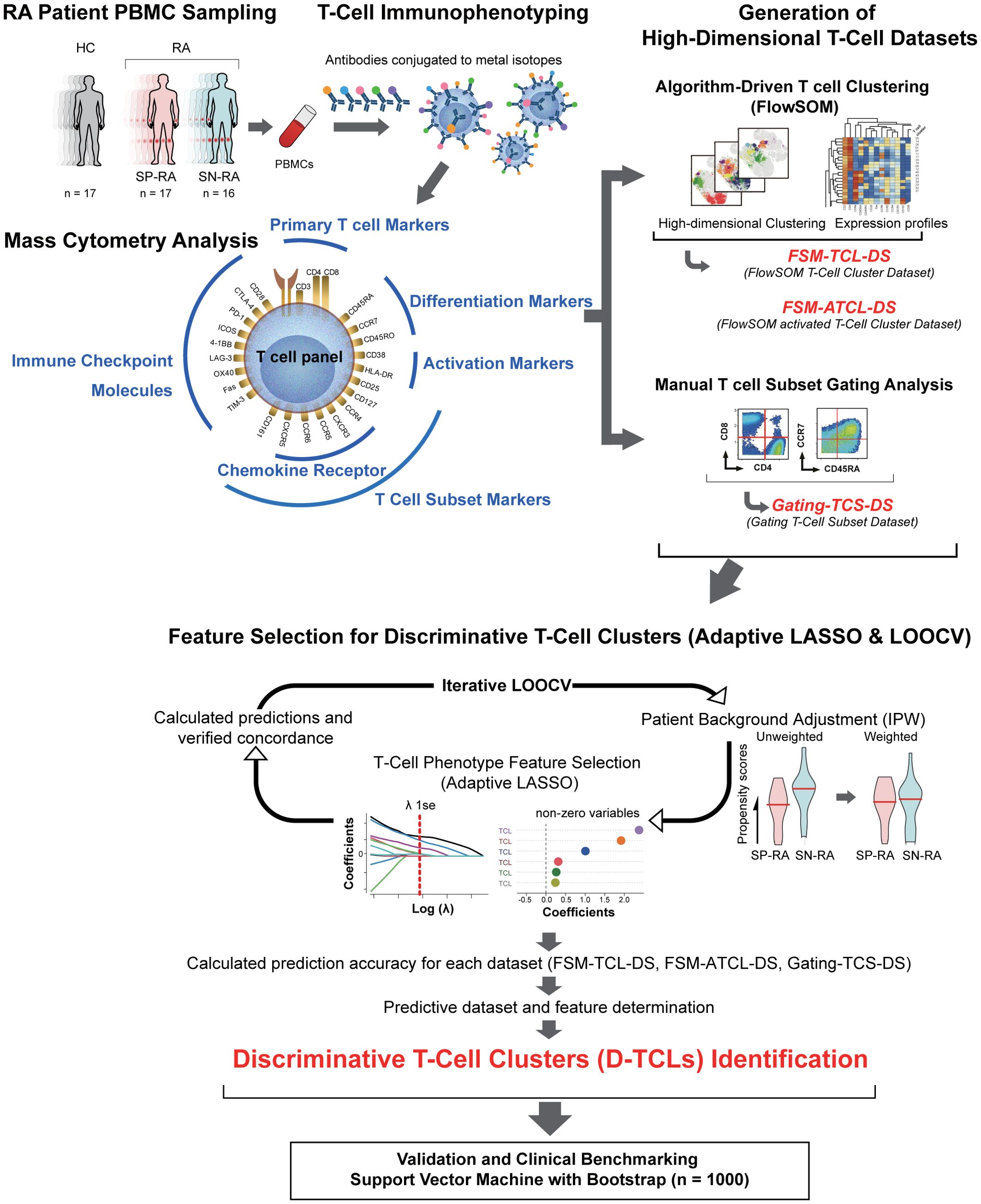 Flowchart illustrating the identification of discriminative T-cell clusters in rheumatoid arthritis (RA) research. It shows stages from RA patient PBMC sampling and T-cell immunophenotyping, involving mass cytometry analysis with markers, to high-dimensional T-cell dataset generation and clustering using FlowSOM. Further analysis uses manual gating, feature selection with adaptive LASSO and LOOCV, and culminates in identifying discriminative T-cell clusters. Validation and clinical benchmarking are conducted using a support vector machine with bootstrapping. Key terms include immune checkpoint molecules, activation markers, and differentiation markers.