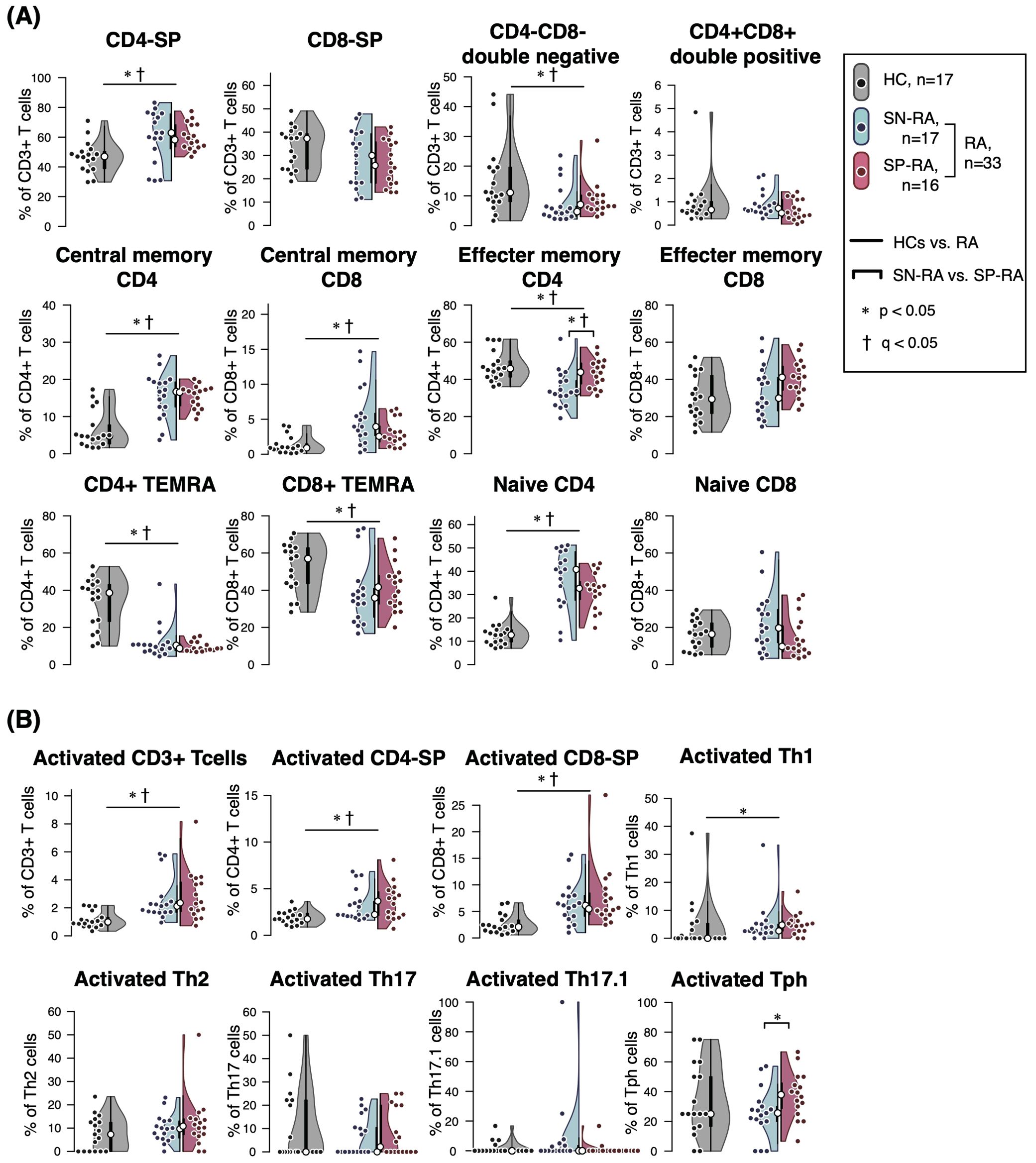 Violin plots show percentages of various T cell subtypes in groups: healthy controls (HC), seronegative rheumatoid arthritis (SN-RA), and seropositive rheumatoid arthritis (SP-RA). Part A includes CD4-SP, CD8-SP, double negative, double positive, central memory, effector memory, TEMRA, and naïve cells. Part B covers activated CD3+, CD4-SP, CD8-SP, Th1, Th2, Th17, Th17.1, and Tph cells. Significant differences are indicated by lines and symbols marking p and q values, comparing HC vs. RA and SN-RA vs. SP-RA. Markers for significance include * for p < 0.05 and †for q < 0.05.