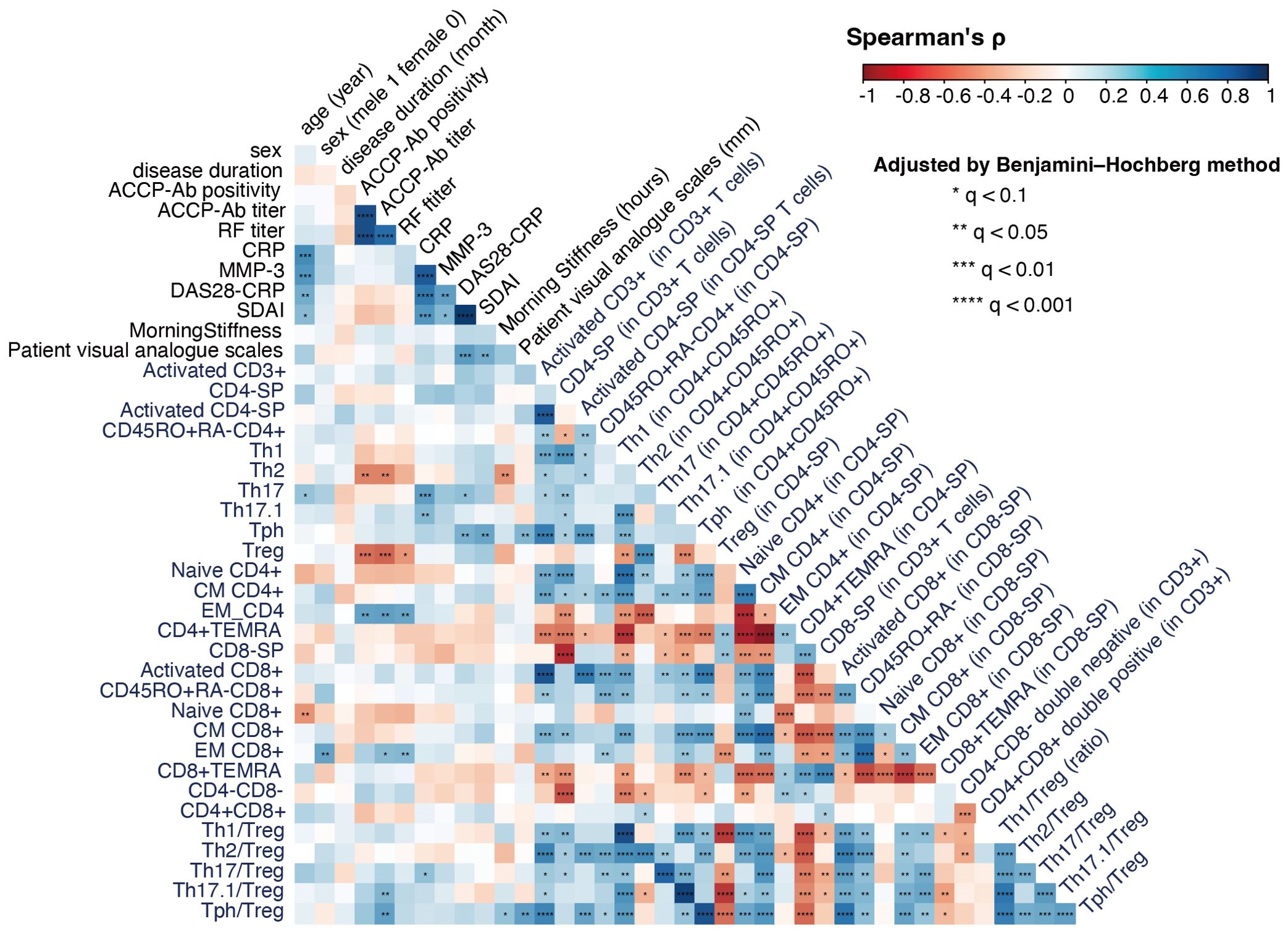 Heatmap illustrating Spearman's rank correlation coefficients among various clinical and immunological parameters. Each cell represents a correlation value, color-coded from red (negative correlation) to blue (positive correlation). Statistical significance is adjusted using the Benjamini–Hochberg method, indicated by asterisks: one for q < 0.1, two for q < 0.05, three for q < 0.01, and four for q < 0.001. The parameters are categorized into patient demographics, disease characteristics, and immune cell subpopulations.