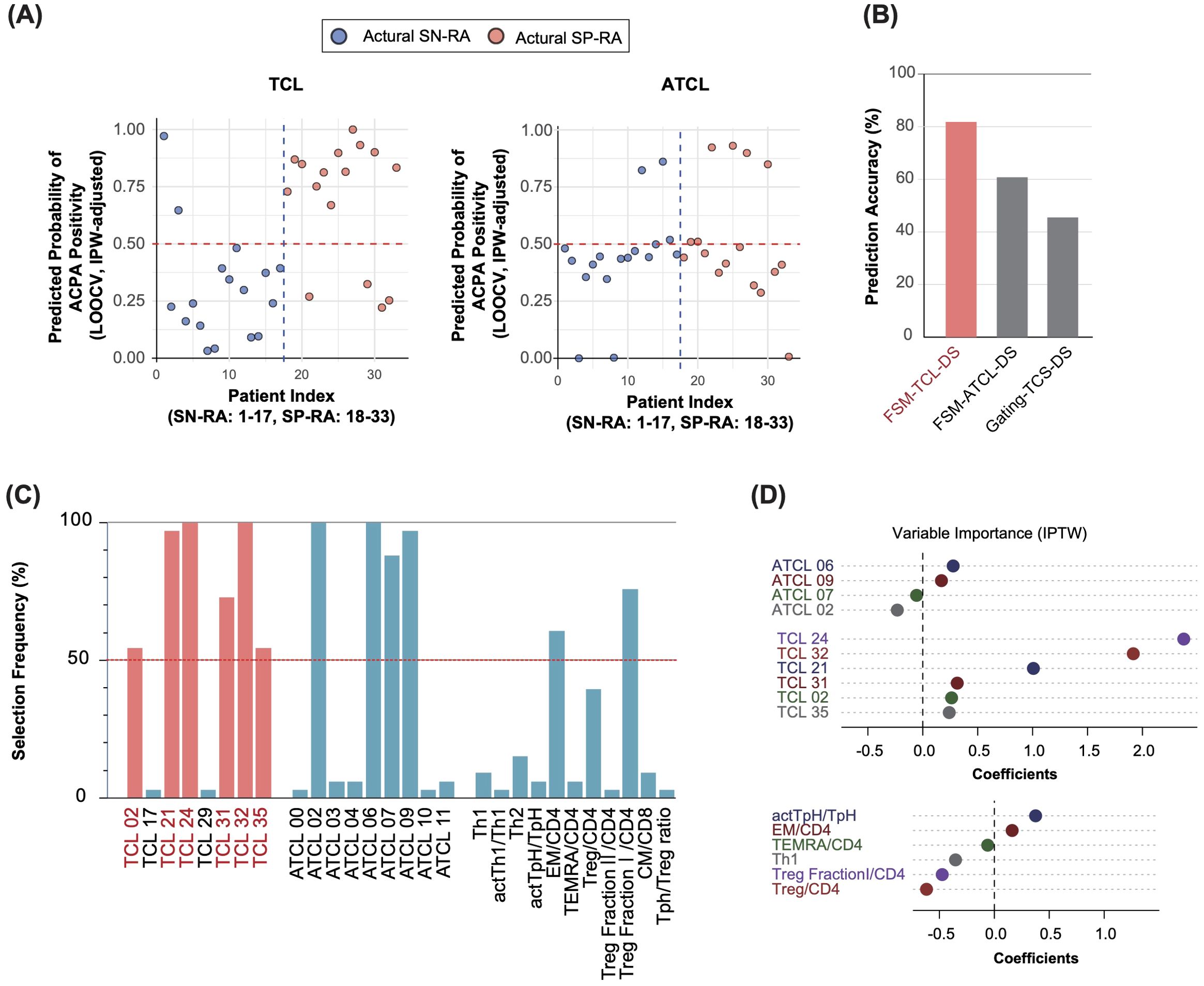 (A) Two scatter plots showing predicted probability of ACPA positivity for SN-RA and SP-RA patients using TCL and ATCL methods. (B) Bar graph comparing prediction accuracy percentages of three models: FSM-TCL-DS, FsM-ATCL-DS, and Gating-TC5-DS. (C) Bar graph illustrating selection frequency percentages of various TCL and ATCL factors. (D) Two dot plots depicting variable importance with coefficients for IPTW, listing ATCL and TCL variables and other factors such as Treg Fraction/CD4.