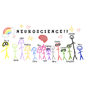 Graded The American School of Sao Paulo