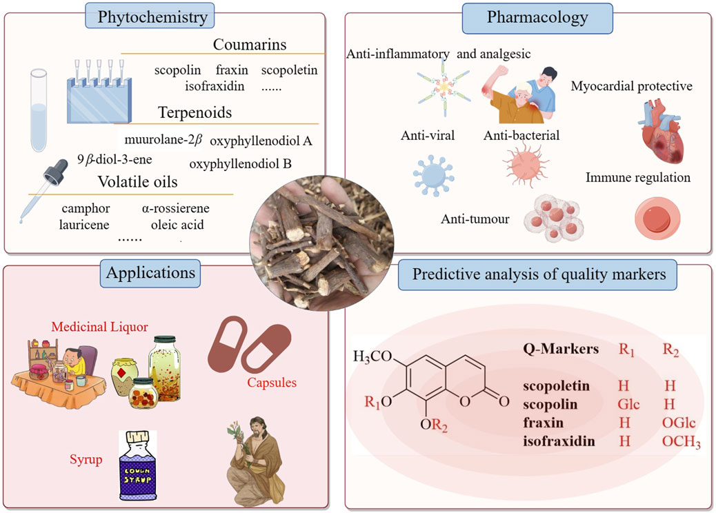 Frontiers | Miao medicine Tiekuaizi (Radix Chimonanthi): a