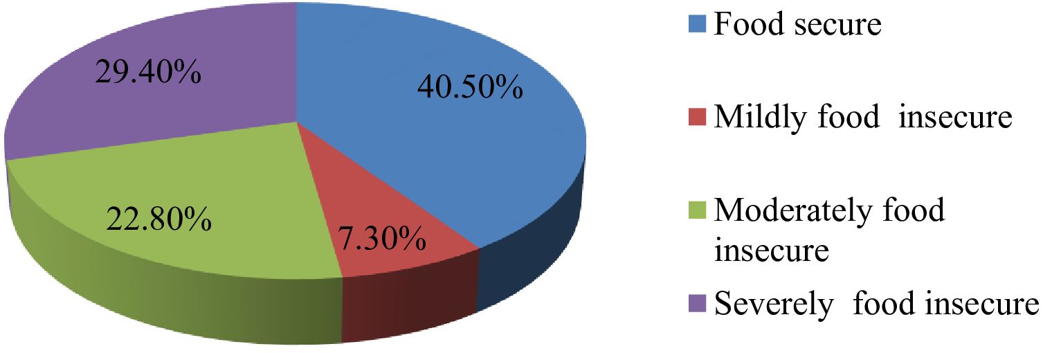 Pie chart depicting food security levels: 40.50% are food secure (blue), 7.30% are mildly food insecure (red), 22.80% are moderately food insecure (green), and 29.40% are severely food insecure (purple).