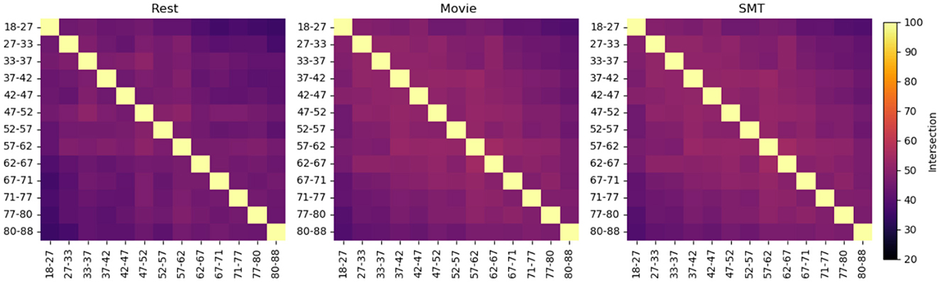 Three heatmaps compare intersection values across age groups labeled from eighteen to eighty-eight. Each heatmap, titled “Rest”, “Movie”, and “SMT”, shows similar diagonal yellow patterns indicating high values, transitioning to darker colors for lower values. A color scale on the right ranges from twenty (dark) to one hundred (yellow).