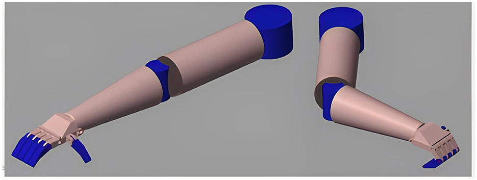 Computer-generated image of two prosthetic arms, showcasing a mechanical design with beige and blue segments. The blue parts include joints and fingertips, indicating flexibility and articulation. The arms are positioned on a plain gray background.