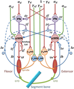 wgl 3dfx gamma control wgl 3dfx gamma control