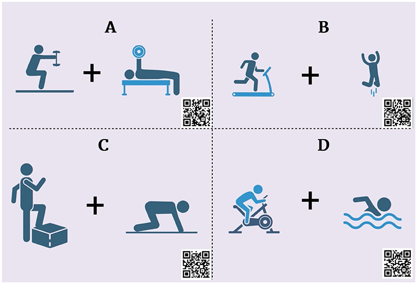 Figure 2 - Different types of exercises and their impact on bone health.