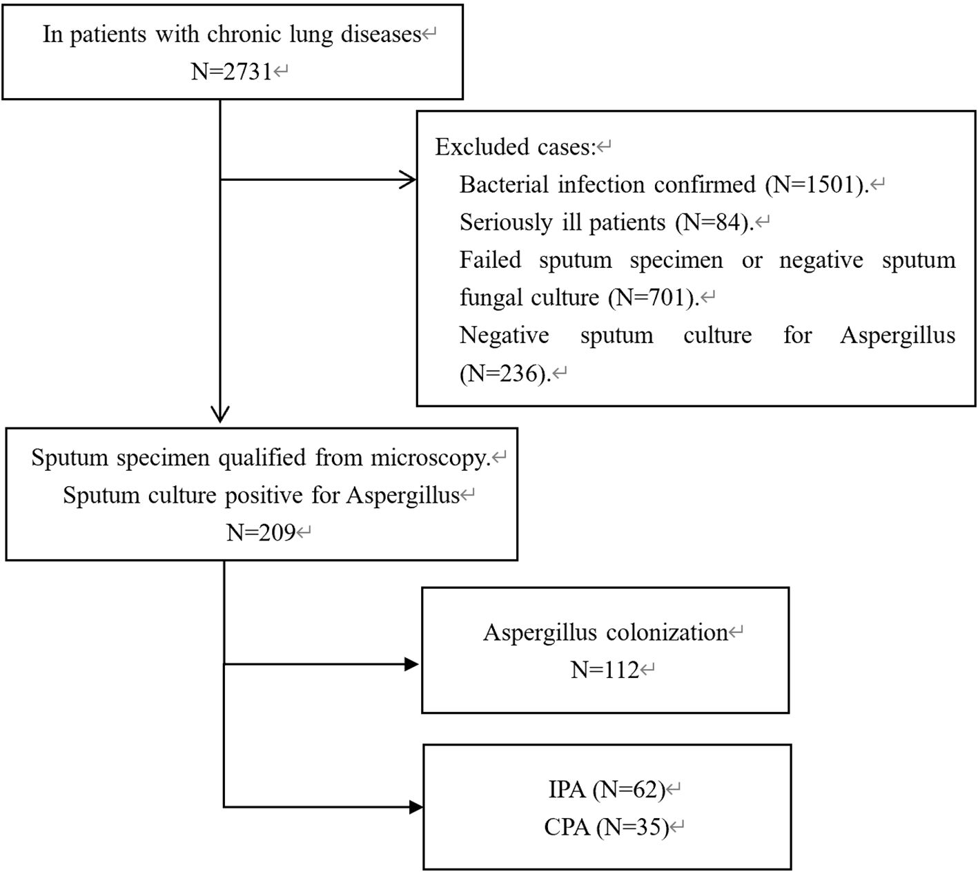 Flowchart detailing the process of identifying Aspergillus colonization in patients with chronic lung diseases. Starting with 2731 patients, 209 have positive sputum cultures for Aspergillus. Exclusions include bacterial infections (1501), seriously ill patients (84), failed sputum tests or negative fungal cultures (701), and negative cultures for Aspergillus (236). Among 209 positive cases, 112 show Aspergillus colonization, 62 have invasive pulmonary aspergillosis (IPA), and 35 have chronic pulmonary aspergillosis (CPA).
