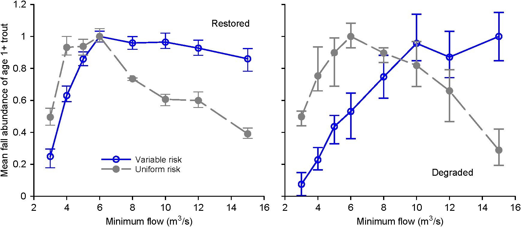 Two line graphs comparing mean fall abundance of age one plus trout under variable risk and uniform risk across minimum flow rates, for restored habitat conditions on the left and degraded habitat conditions on the right. Under restored habitat conditions when risk varies with habitat, fish abundance initially increases with increasing flows then plateaus. Under restored habitat conditions and uniform risk, fish abundance peaks then steeply declines at higher flows. Under degraded habitat conditions, results for variable and uniform risk diverge at both low and high flows.