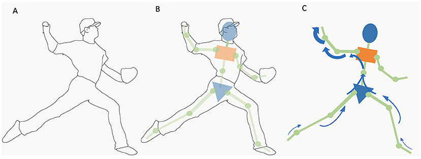 Illustration of three stages of a baseball player showing a figure in a dynamic pose. Panel A shows a simple outline; Panel B adds colored shapes and points indicating joints; Panel C highlights motion with arrows.